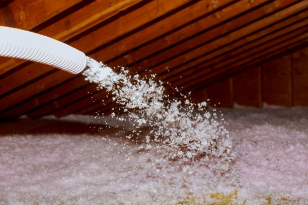 Best Insulation Inspection Services  in Evans, CO