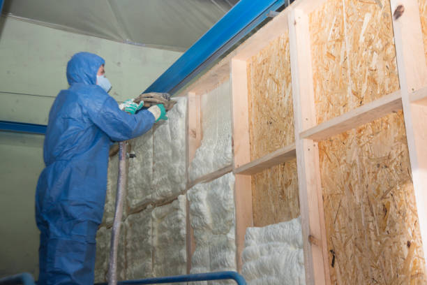 Best Attic Insulation Installation  in Evans, CO