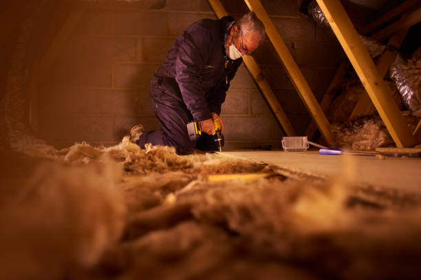 Best Cellulose Insulation  in Evans, CO